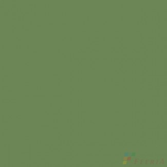 Керамогранит Feeria Водорослевый зелёный / Algae green матовый 600x600x10